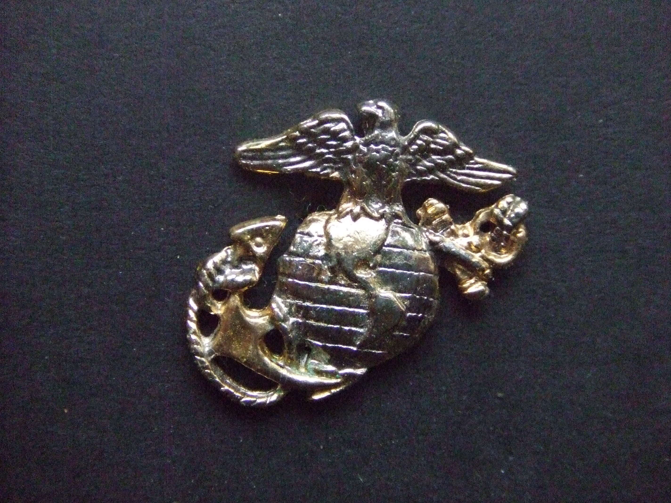 US Marine Corps logo adelaar